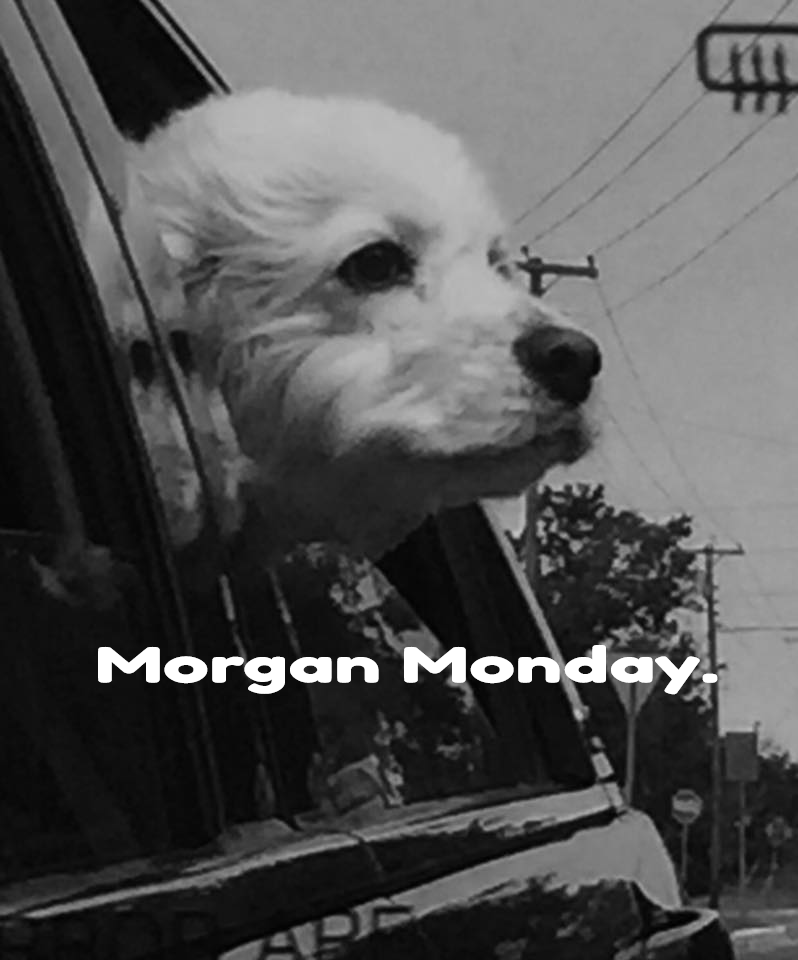 Morgan Monday